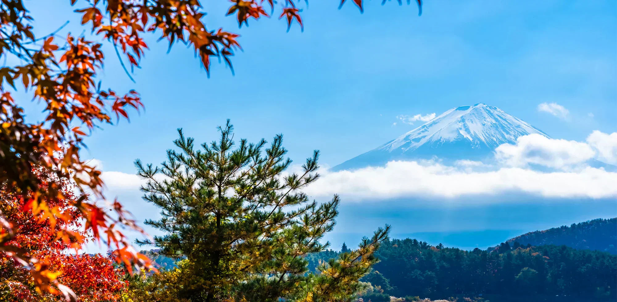 2025年秋に訪れたい!日本全国絶景キャンプ場10選&完全装備ガイド