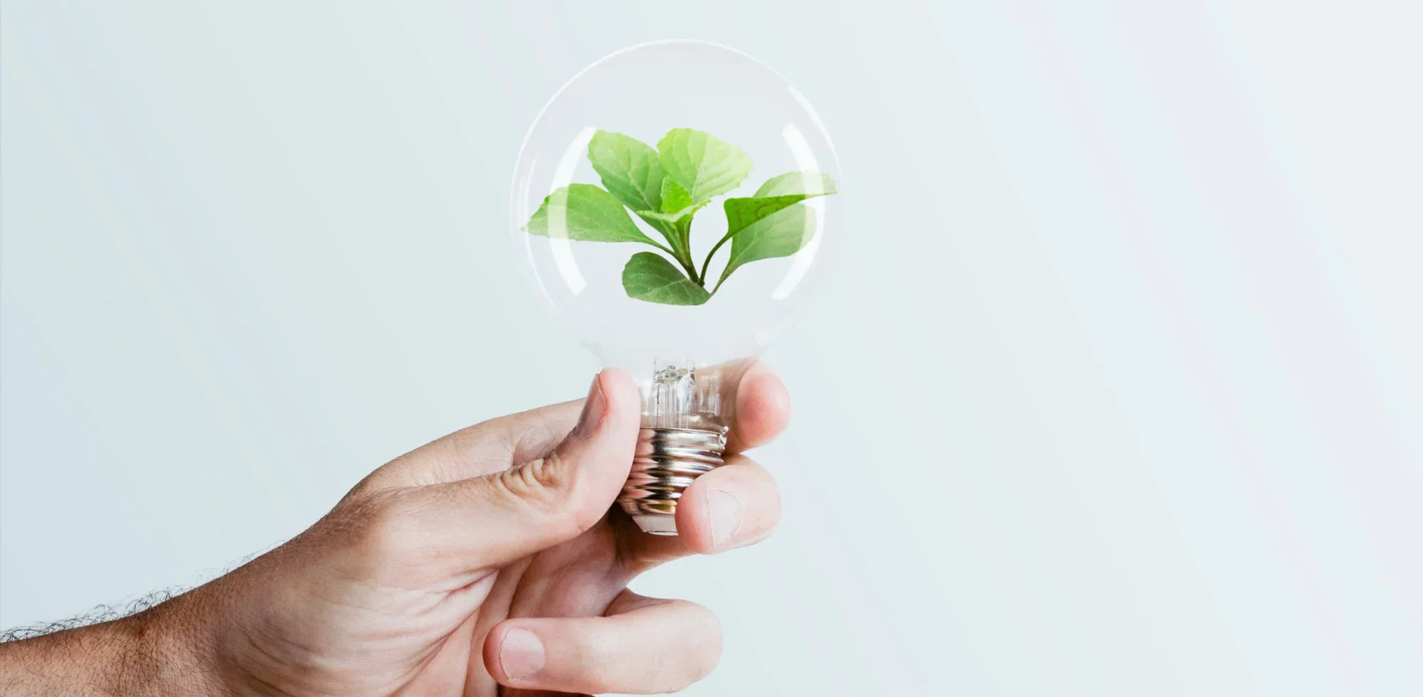 【実証済み】電気代半減術!ポータブル電源夜活マニュアル